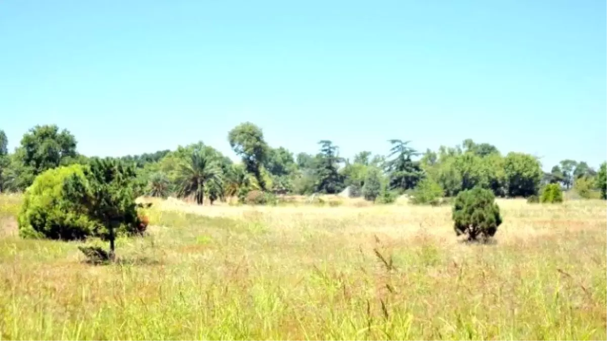 Arboretum\'un Konut Alanına Dönüştürülmesine İtiraz Yağıyor