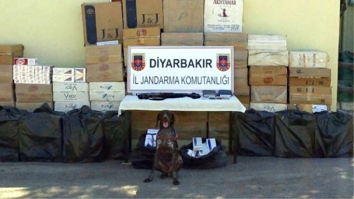 Diyarbakır\'da Kaçakçılara Darbe