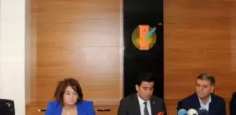 Hdp'li Toğrul: AK Parti Tek Başına İktidar Olamayacak