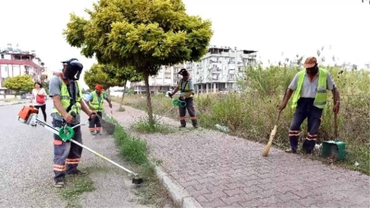 Muratpaşa Sokaklarına Sonbahar Bakımı