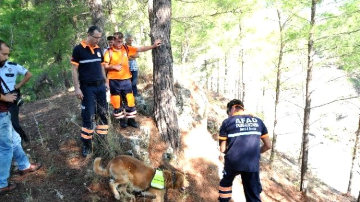 Norveçli Turisti Arama Çalışmalarına Afad Ekipleri de Katıldı