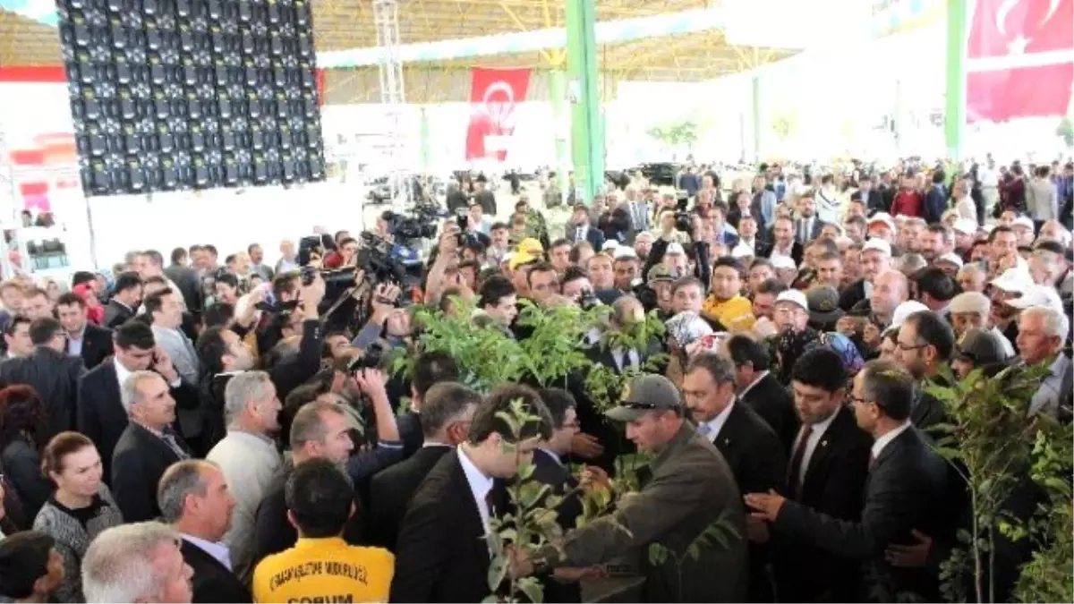 Bakan Eroğlu, Toplu Açılış ve Temel Atma Törenine Katıldı