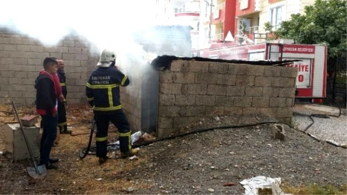 Çocuklar Odunluğu Yaktı