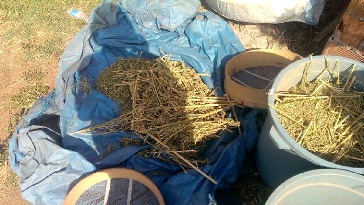 Diyarbakır\'da Uyuşturucu Operasyonu