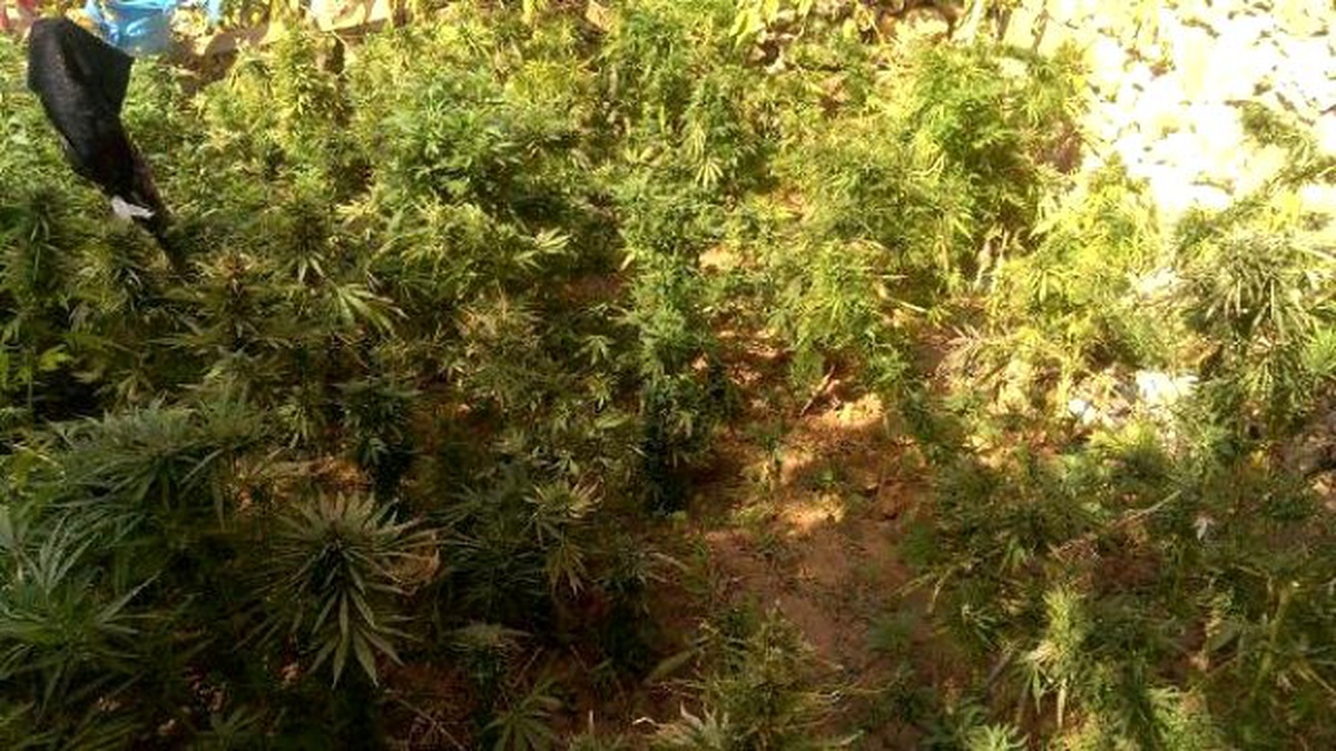 Diyarbakır\'da Uyuşturucuya 2 Tutuklama