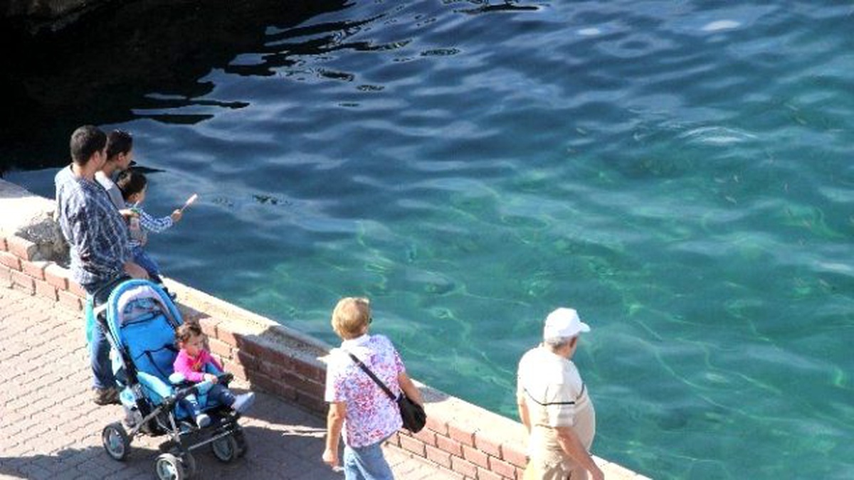 Eski Feribot İskelesi Doğal Akvaryum Oldu