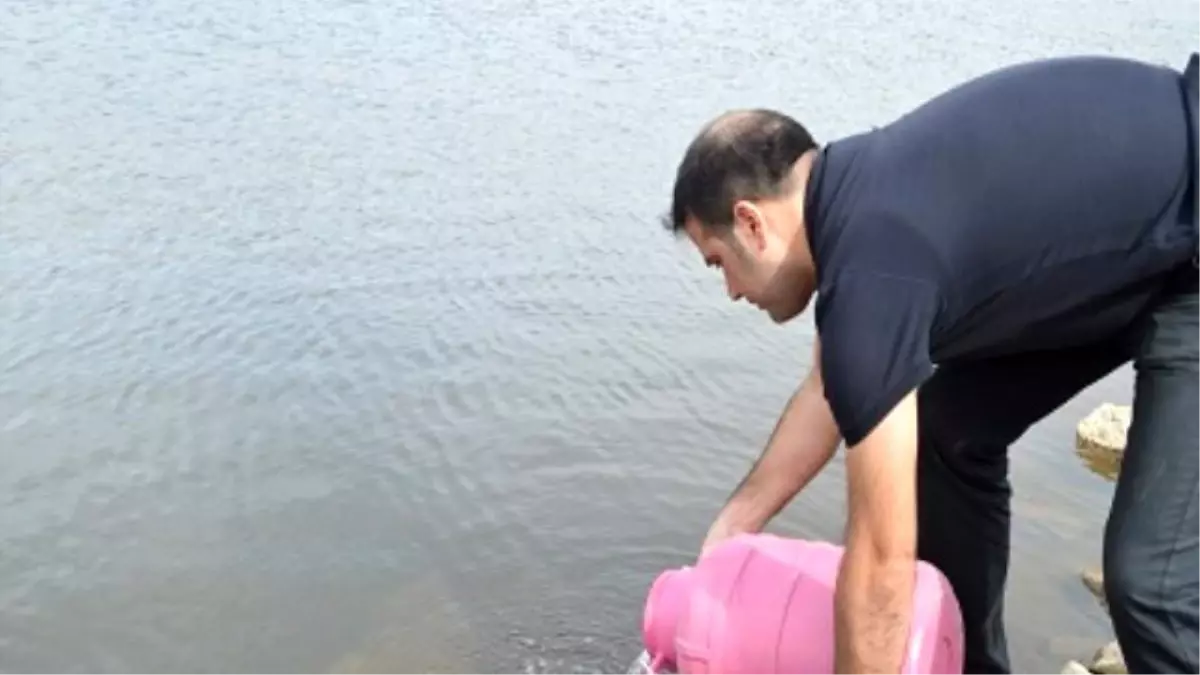 Ovabağ Göletine Balık Bırakıldı