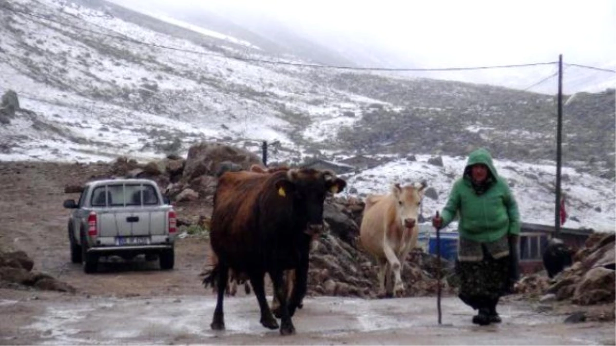 Rize\'de Yılın İlk Karı Yağdı, Yaylacılar Kara Yakalandı