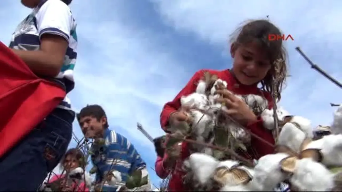 Şanlıurfa?da Öğrenciler Okul Yerine Pamuk Tarlasına Gidiyorlar