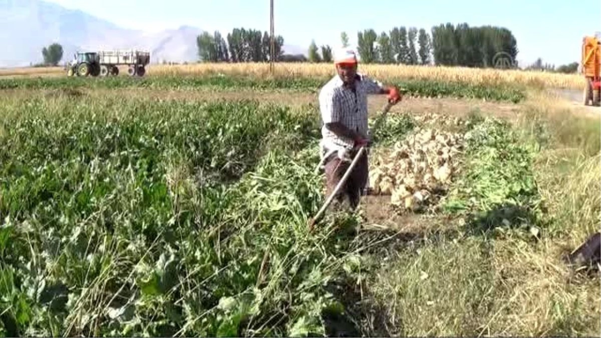 Şekerin Yolculuğu İstihdama Katkı Sağlıyor