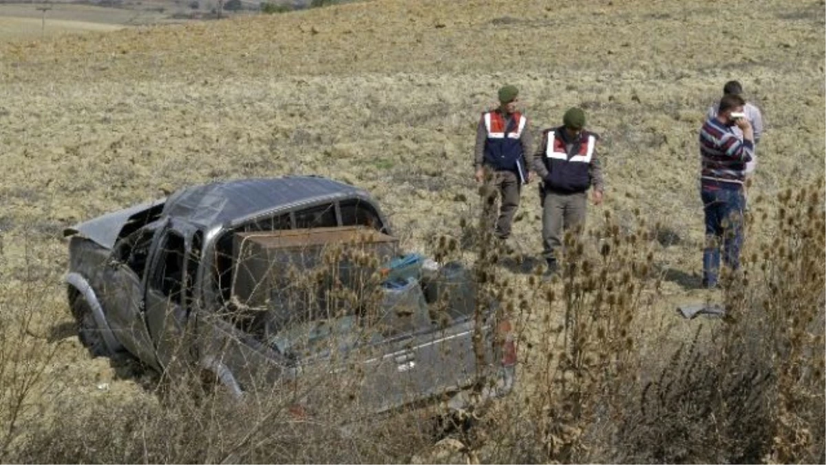 Yoldan Çıkan Pikap Tarlaya Uçtu: 1 Yaralı