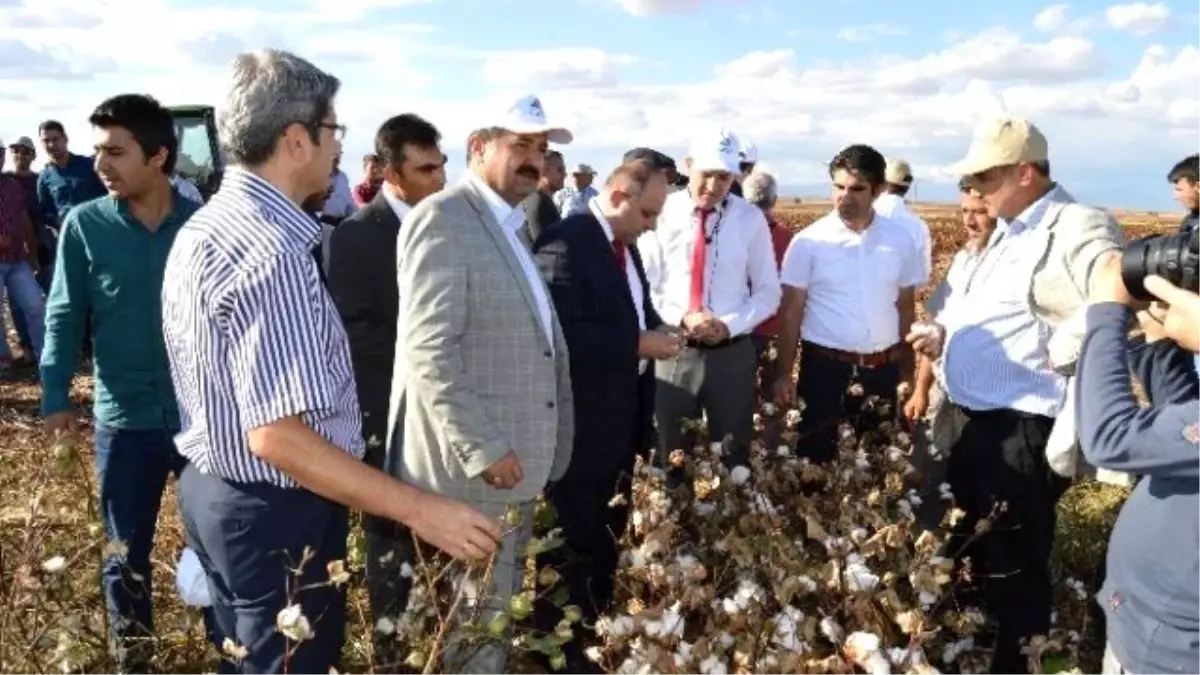 Besni'de Tarla Günleri Etkinliği Düzenlendi