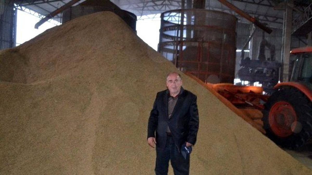 Çeltik Üreticisi Fiyat Bekliyor