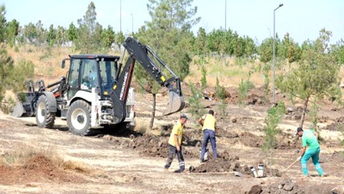 Diyarbakır Kent Ormanı\'na Yeni Ağaçlar Dikiliyor