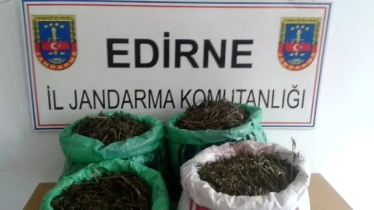 Edirne\'de 16,5 Kilogram Kubar Esrar Yakalandı