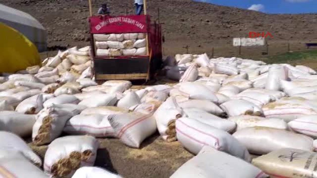 Kars?ta Esrar Operasyonu: 7 Tutuklama