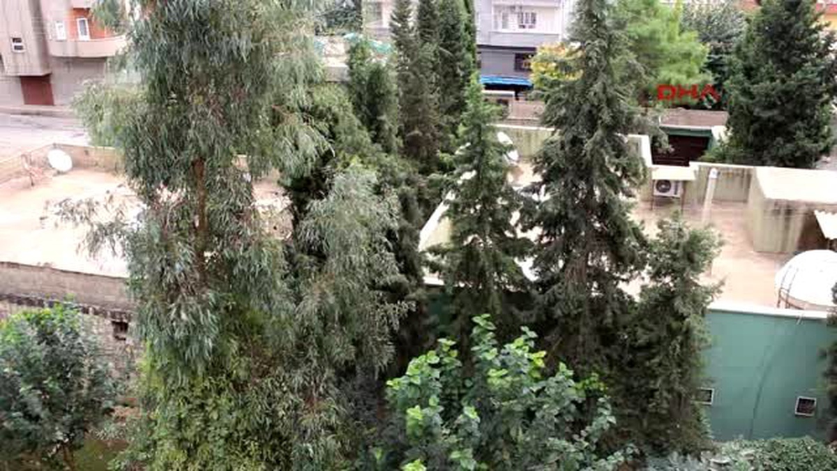 Silopi\'de Sokağa Çıkma Yasağı Kaldırıldı