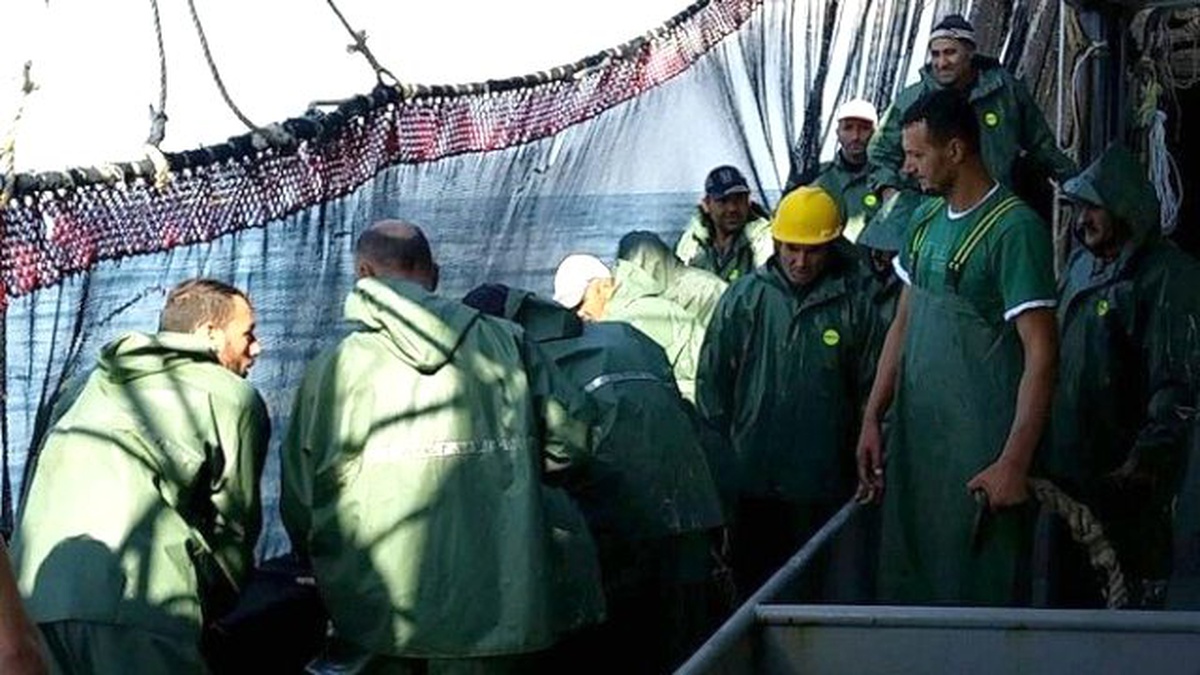 Balık Azlığının Sebebi Hava Şartları
