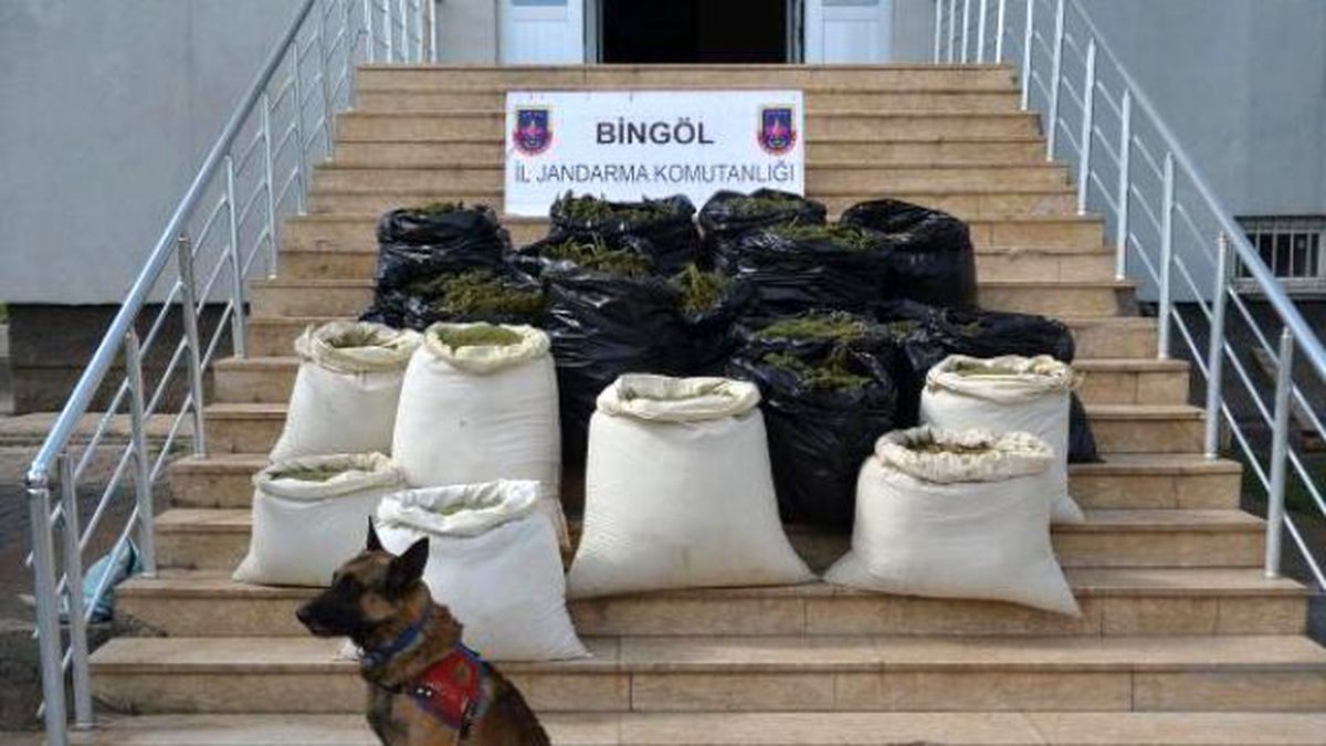 Bingöl\'de 241 Kilo Esrar Ele Geçirildi