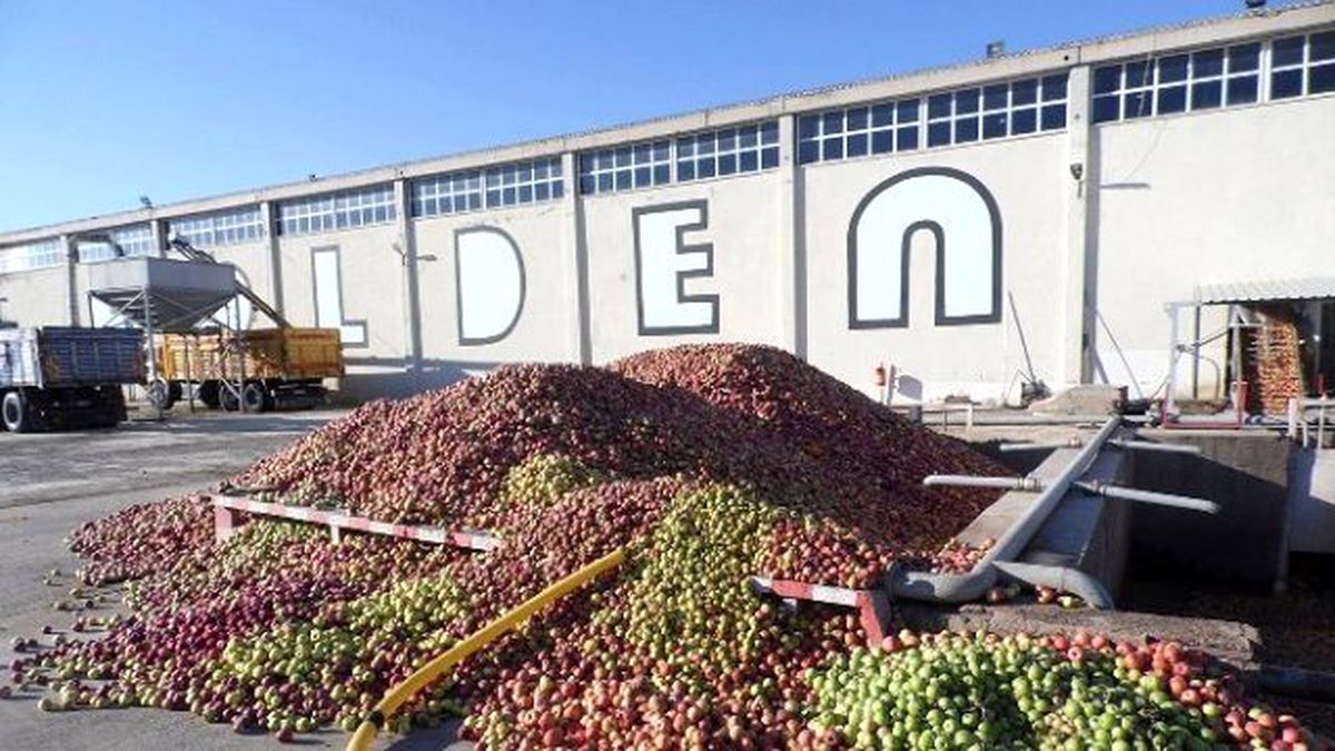 Golden, Ankon Alımına Başladı