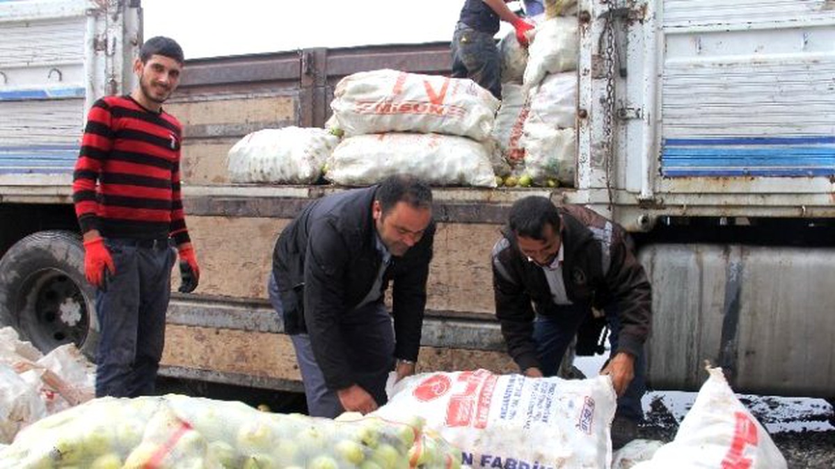 Iğdır\'da Organik Tarım Bioçeşitliliği Artırdı