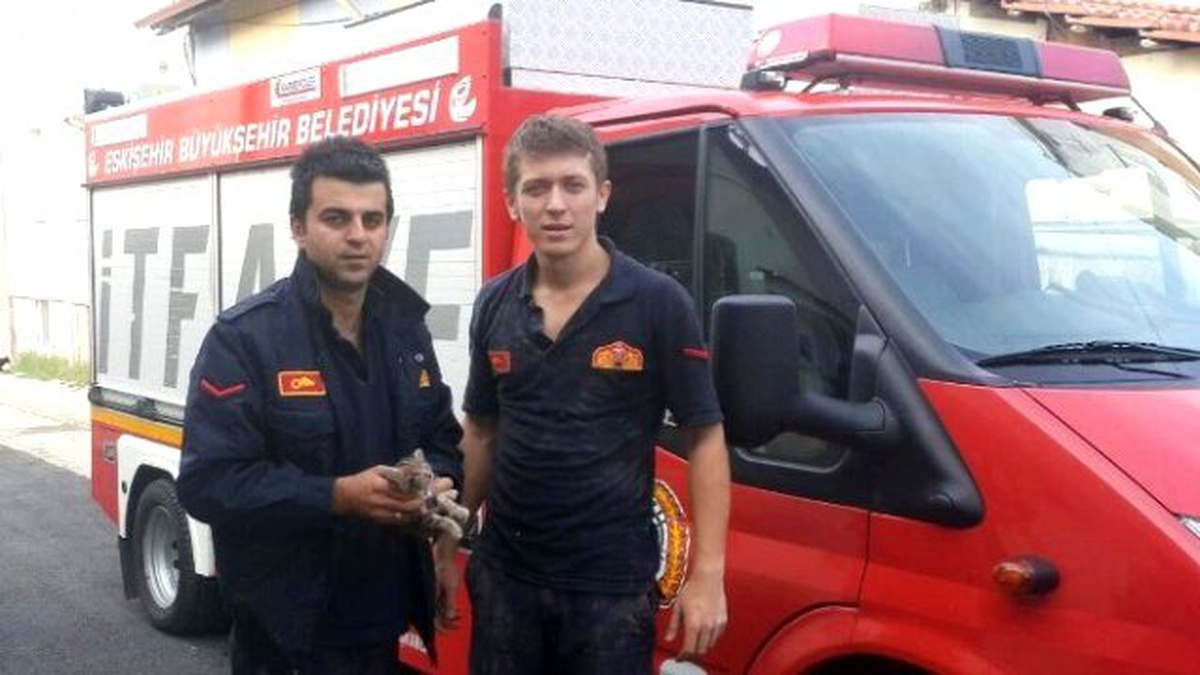İki Yavru Kedi Ölmekten Son Anda Kurtarıldı