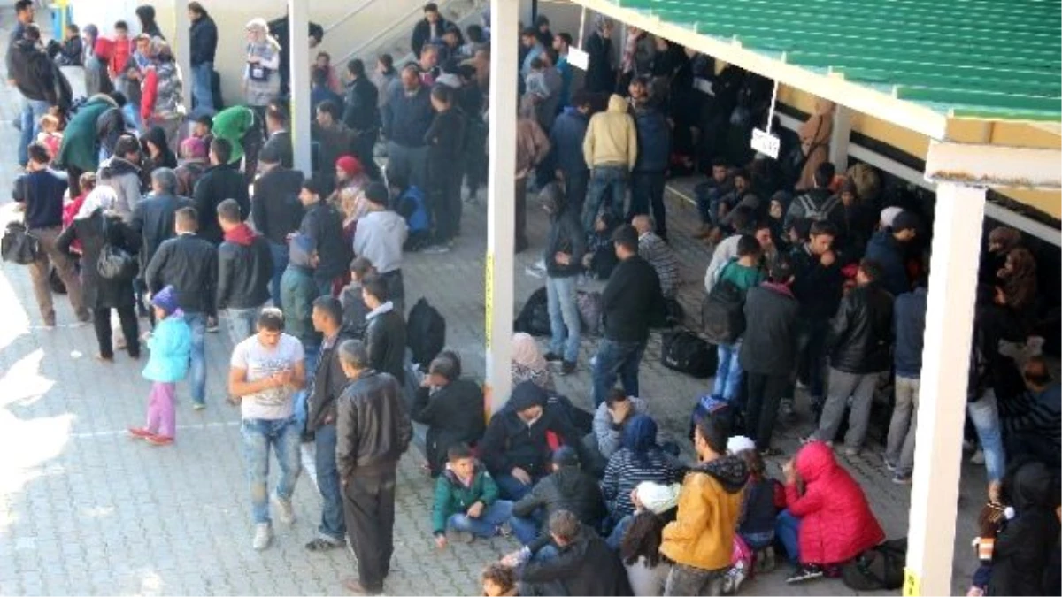 Otobüs Ağaca Çarpınca 350 Mülteci Yakalandı
