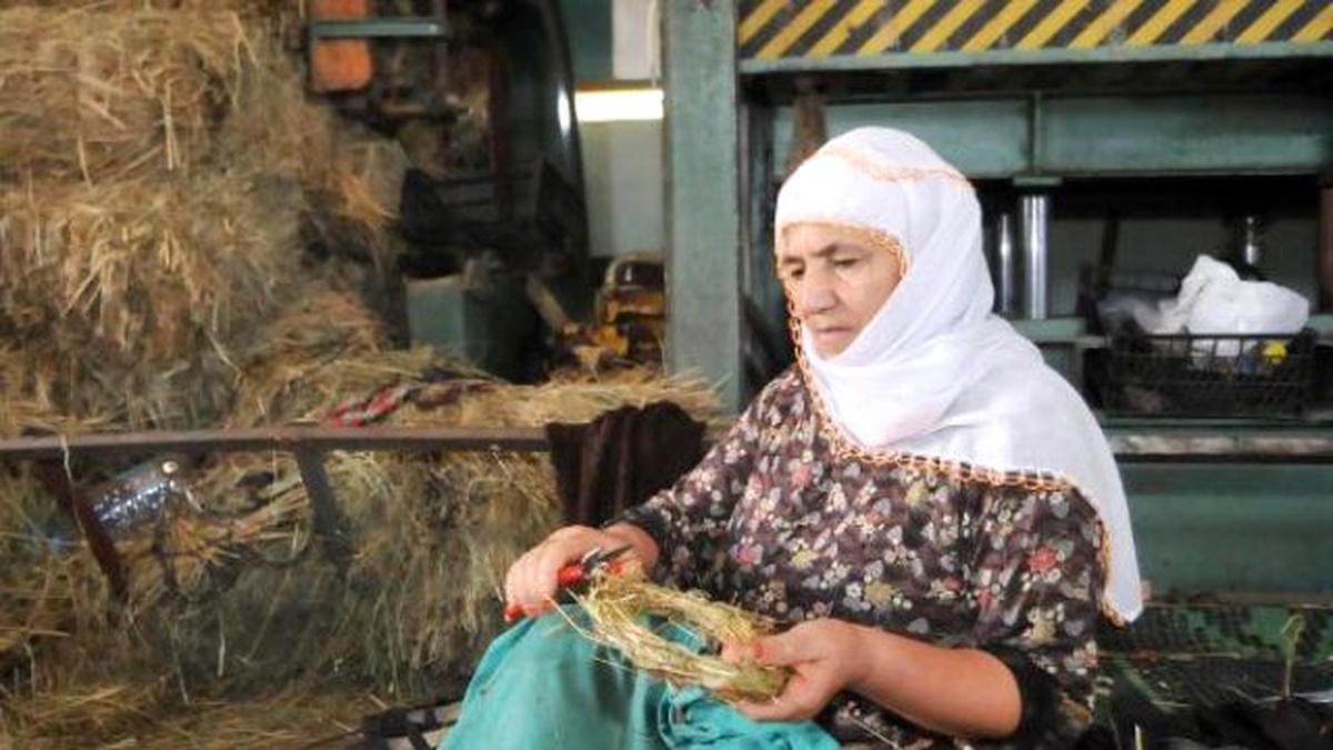 Uyuşturucuyla Anılan Mahalleden Dünyaya Çelenk İhracatı