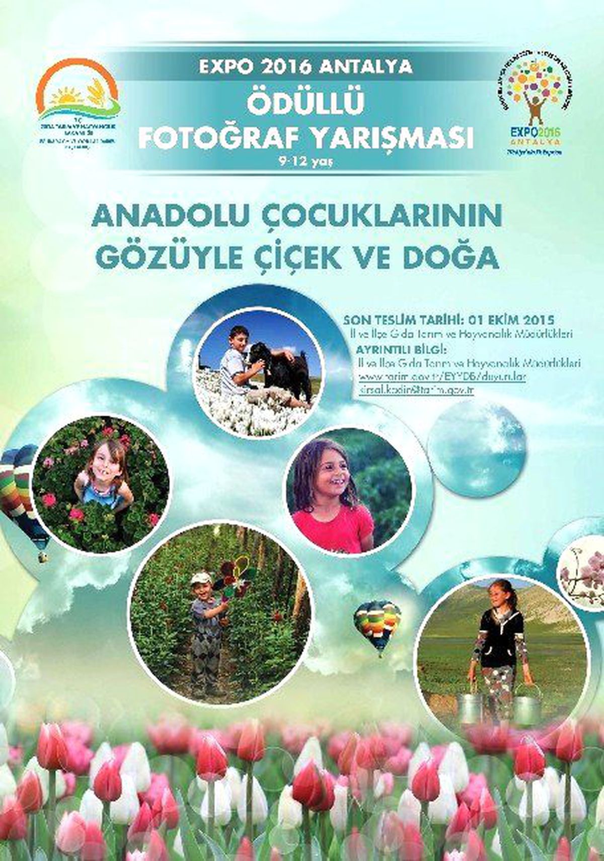 Aydın\'ın Fotoğrafı Uluslararası Botanik Sergisinde Görücüye Çıkacak