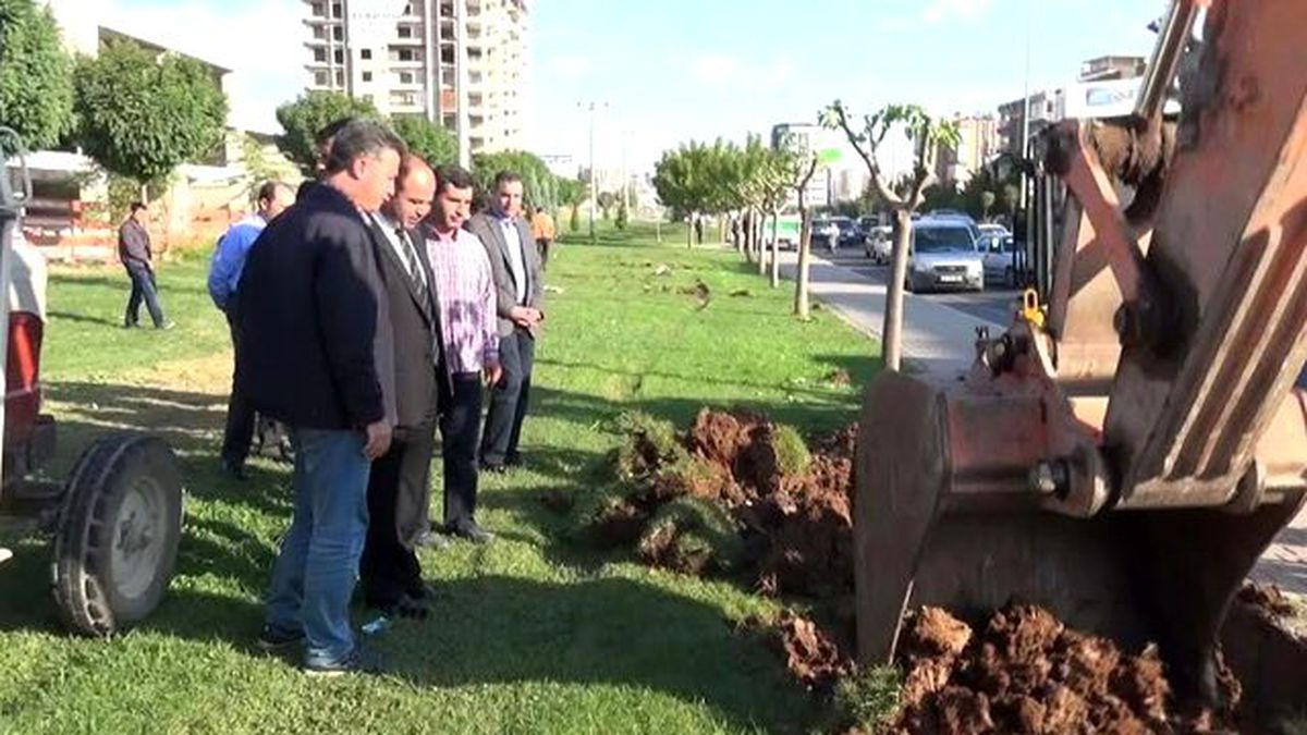 Çiftçi, Viranşehir\'de Çalışmaları Denetledi
