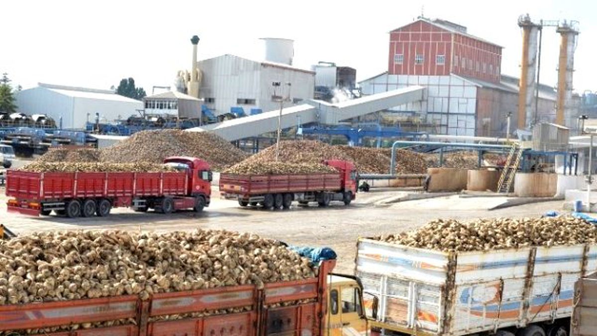 Kayseri Şeker\'den Pancar Çiftçisine 55 Milyon Söküm Avansı