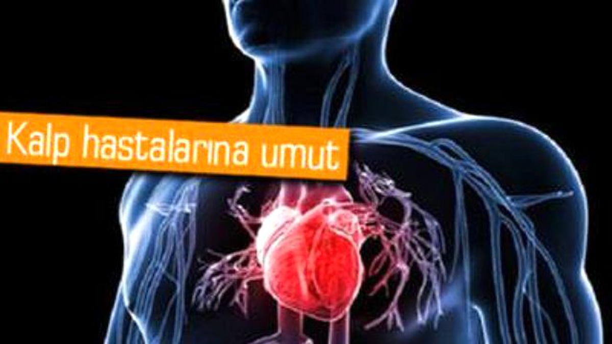 Lazer Kontrollü Kalp Bilim İnsanlarını Heyecanlandırdı