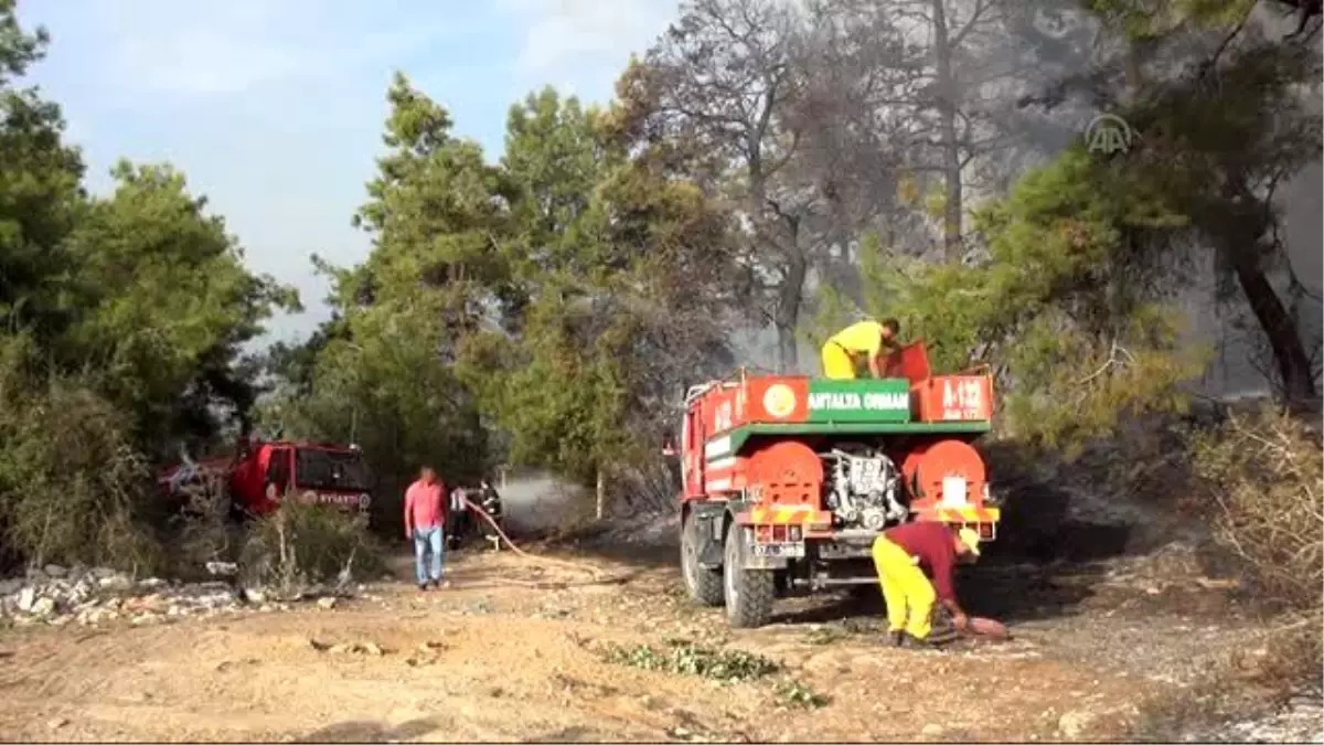 Manavgat\'ta Tarihi Mezarlıkta Yangın