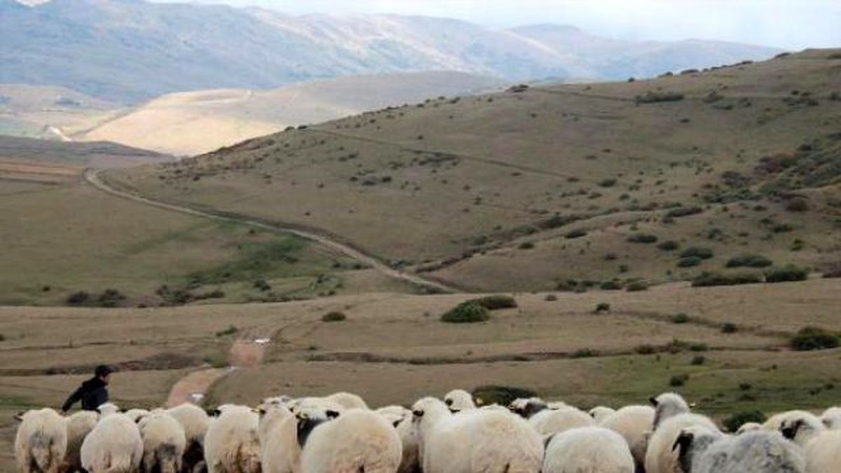 Ordu\'da Yayladan Dönüş Başladı