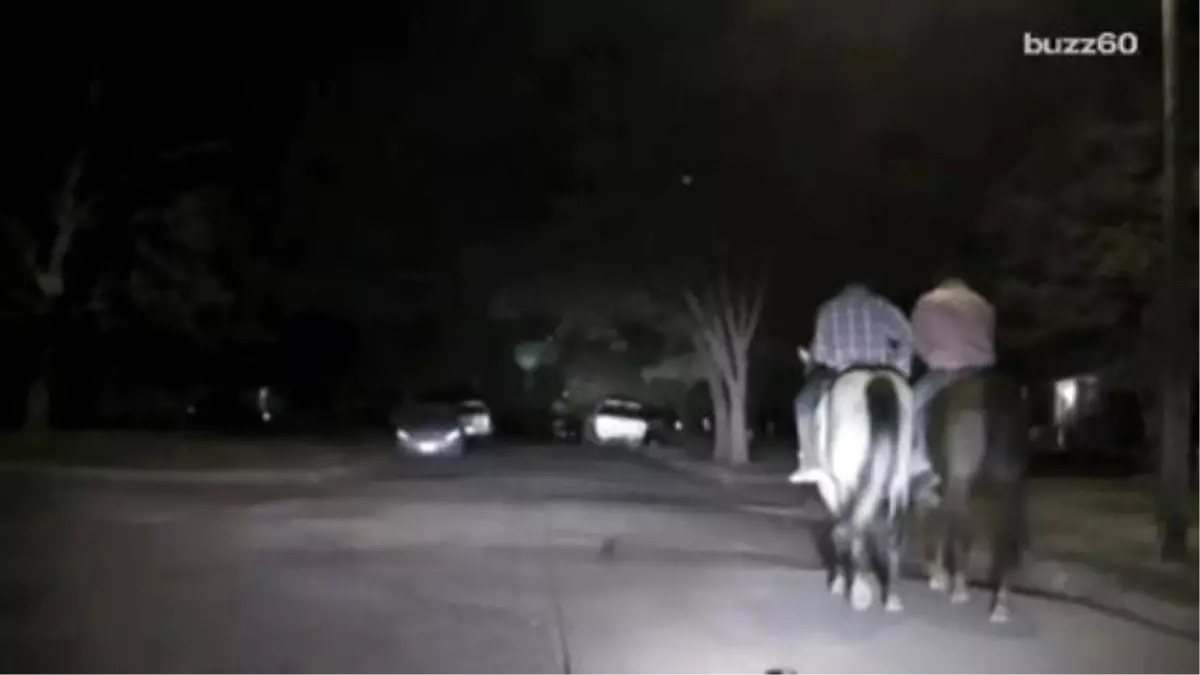 Police Dash Cam Captures Chase With Horseback-riding Suspects