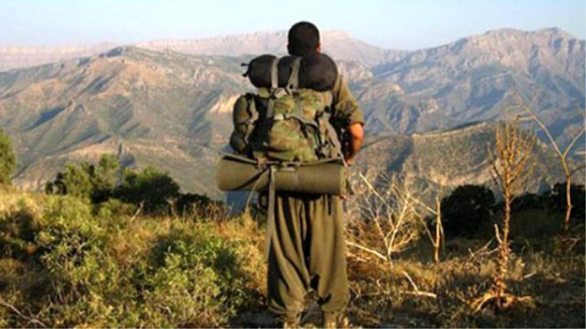 Şırnak\'ta 8 PKK\'lı Teslim Oldu