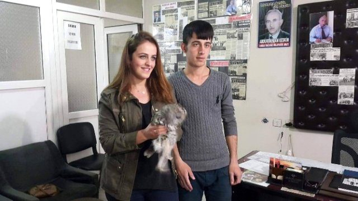 Yaralı Baykuşa Gazete Çalışanı Sahip Çıktı