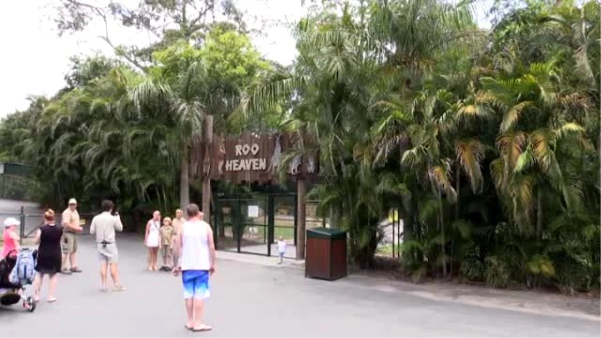 Avustralya Hayvanat Bahçesinde Yavru Gergedan Sevinci