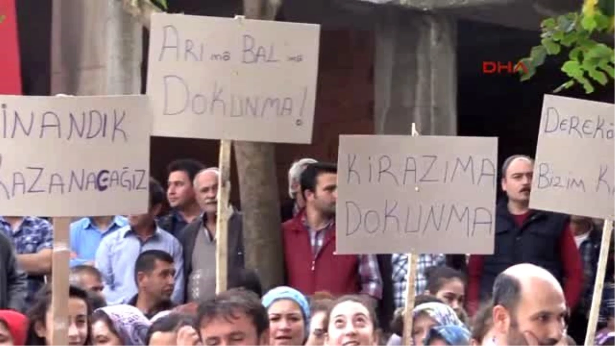 Çam Balı ile Ünlü Dereköy\'de, Res İçin Ağaç Katliamı Tepkisi