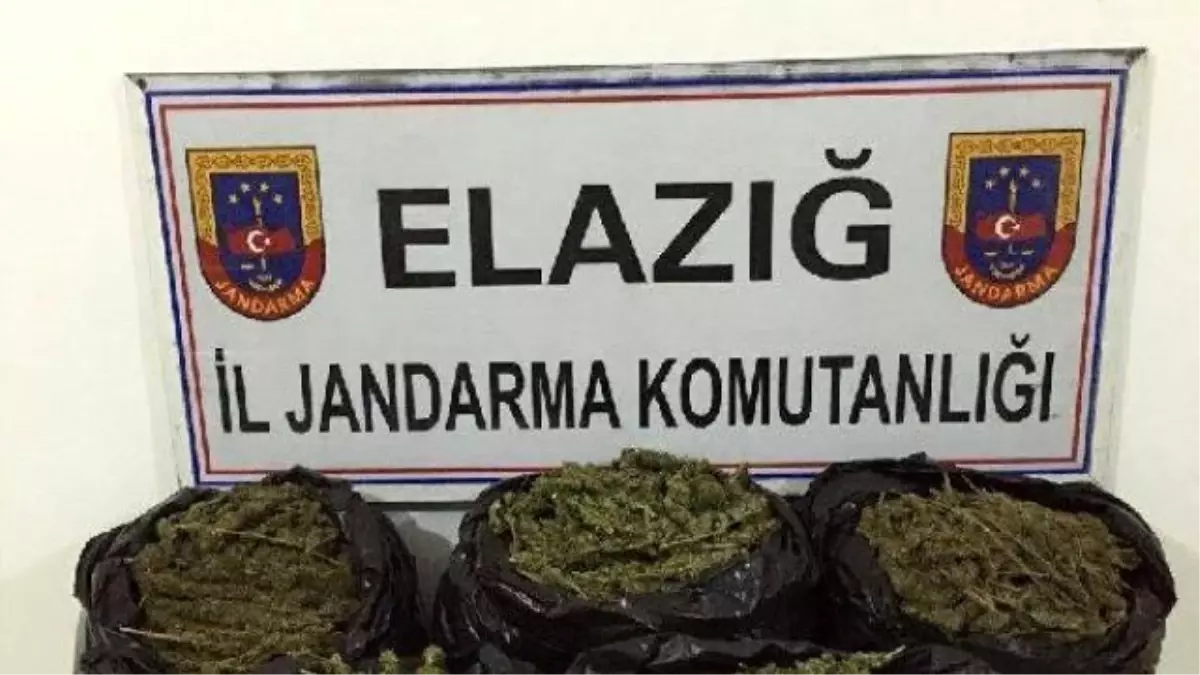 Elazığ\'da 30 Kilo Esrar Ele Geçirildi