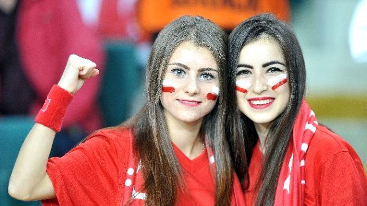 Euro 2016 Elemeleri