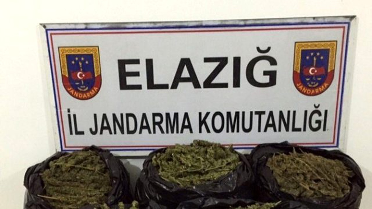 Jandarma Ekipleri 30 Kilogram Esrar Ele Geçirdi
