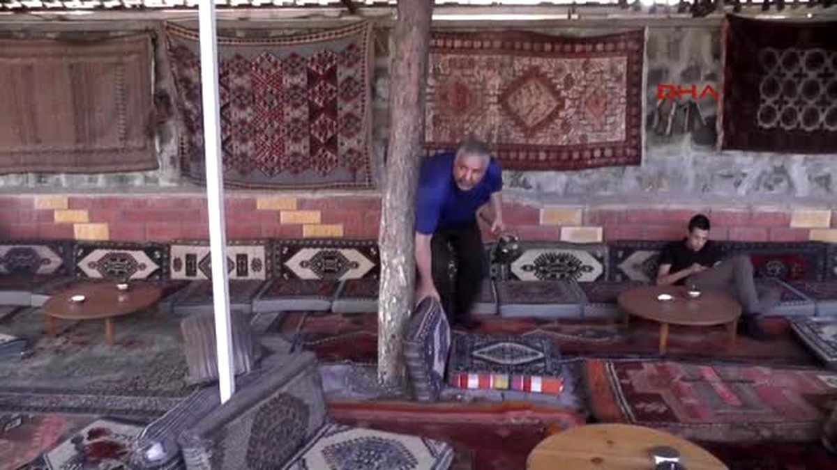 Çamları Kesmeye Kıyamadı, Çatıdan Çıkış Verdi