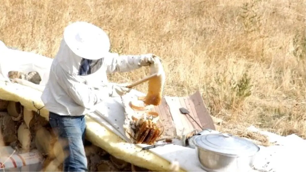 Hakkari\'nin Karakovan Balı Piyasaya Çıktı