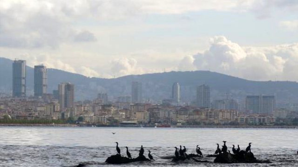 İstanbul\'un Kayıp Adası Gün Yüzüne Çıkartılıyor
