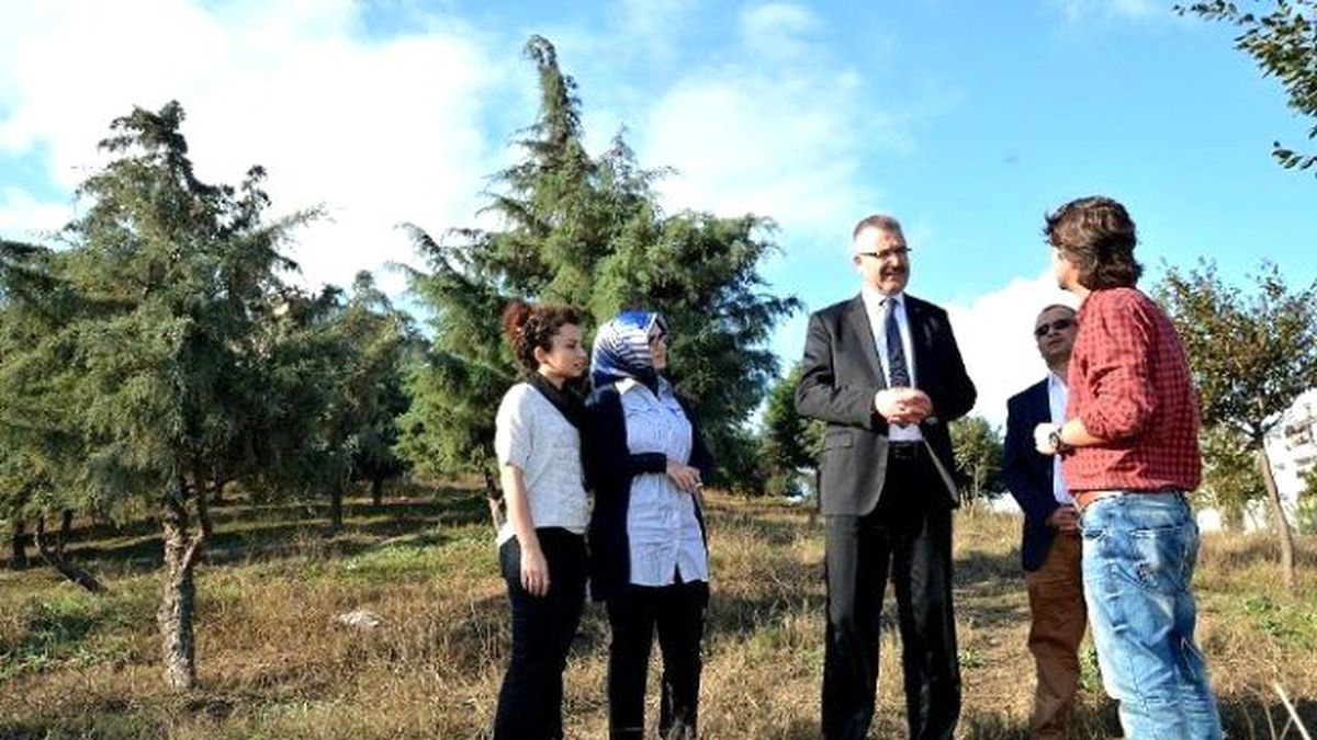 Karacabey Ihlamur Kokacak