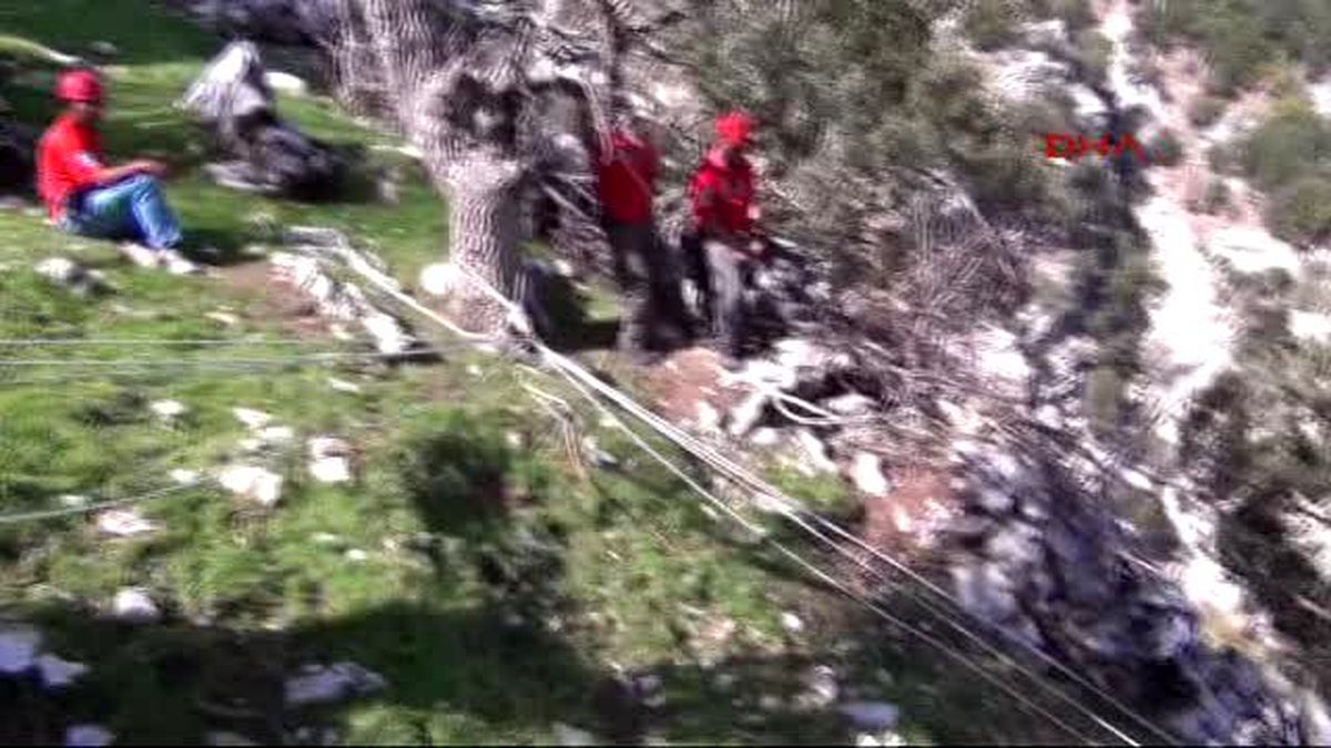 Kayalıklarda Mahsur Kalan Oğlağı Akut Kurtardı