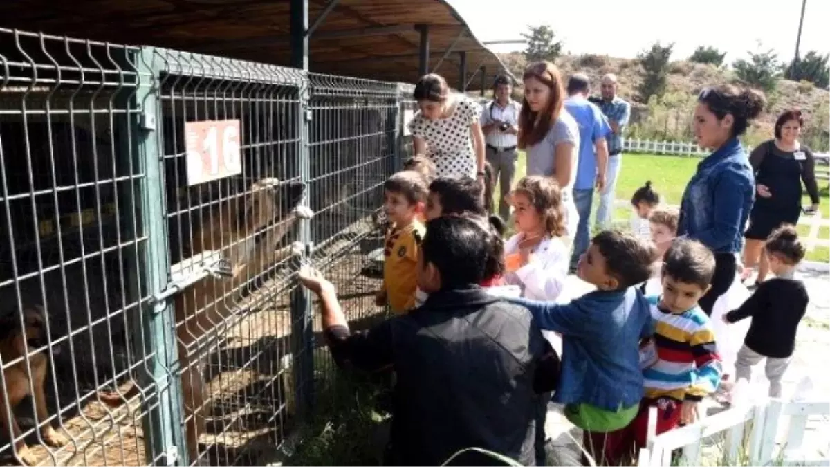 Miniklerden Hayvan Bakımevine Ziyaret