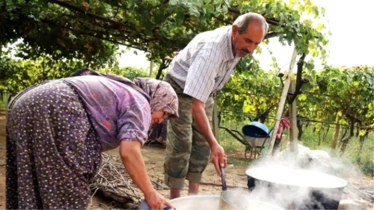 Sarıgöl\'de Doğal Pekmez Yapımına Başlandı