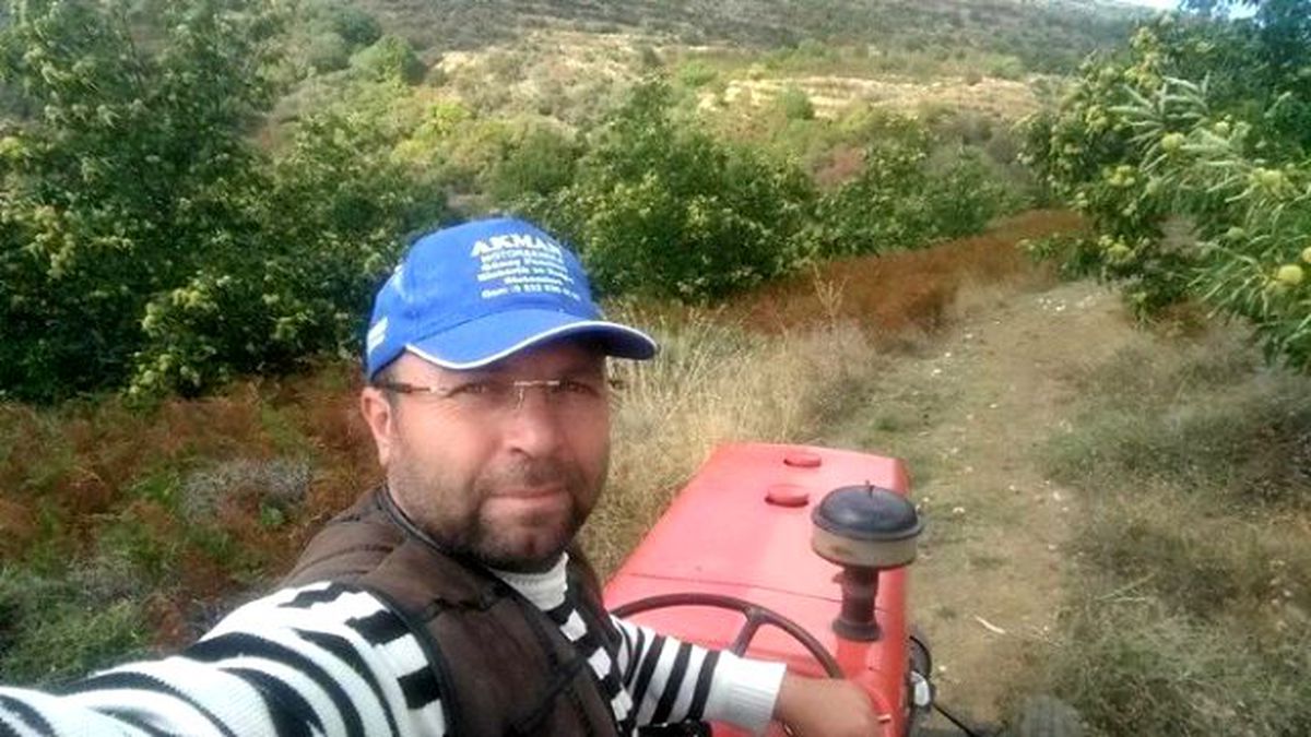 Ağaçtan Düşen Çiftçi Öldü